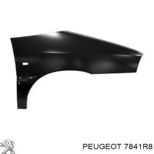 7841R8 Peugeot/Citroen pára-lama dianteiro direito
