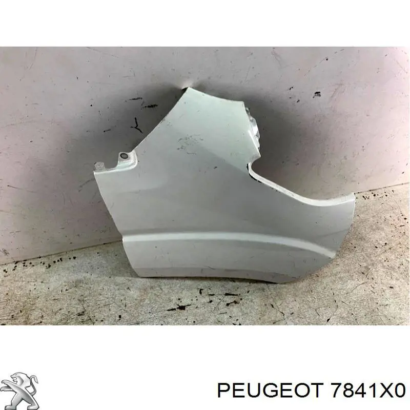 7841X0 Peugeot/Citroen pára-lama dianteiro direito
