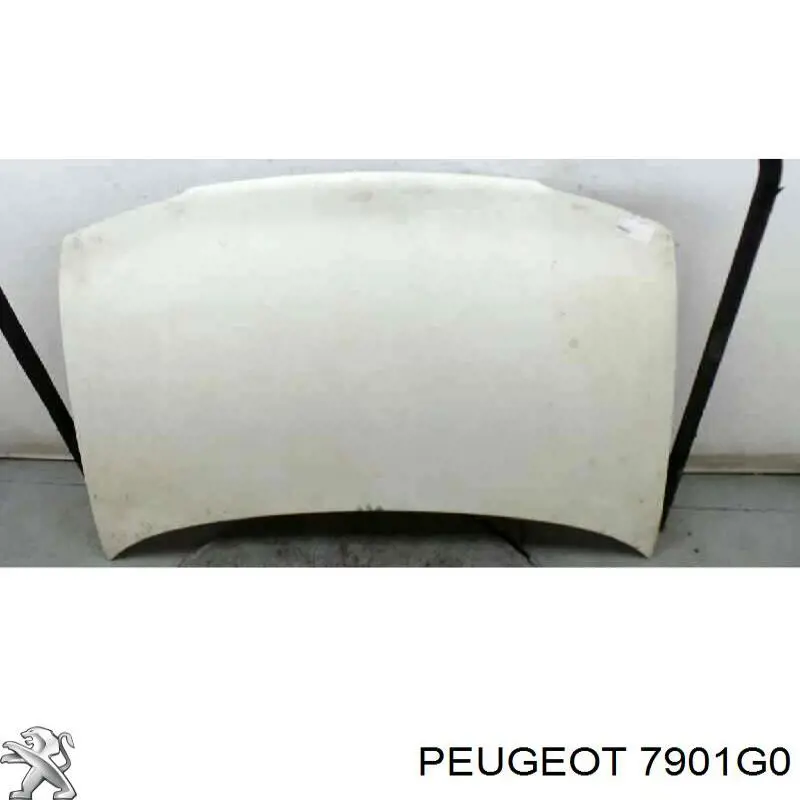 7901G0 Peugeot/Citroen capota