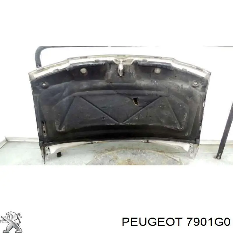 Капот Peugeot/Citroen 7901G0 цена, от 124.05 USD