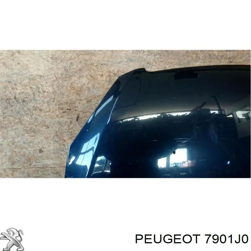 7901J0 Peugeot/Citroen капот