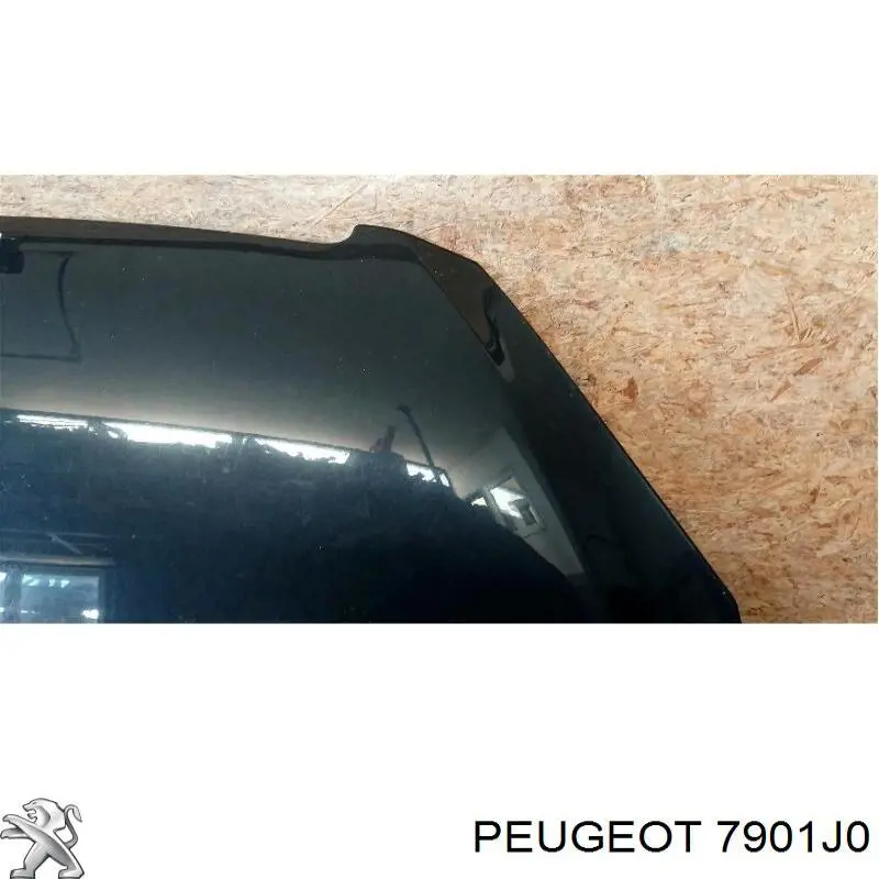 Капот Peugeot/Citroen 7901J0 цена, от 84.81 USD