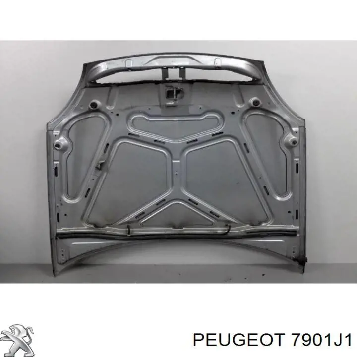 Капот 231503 Polcar