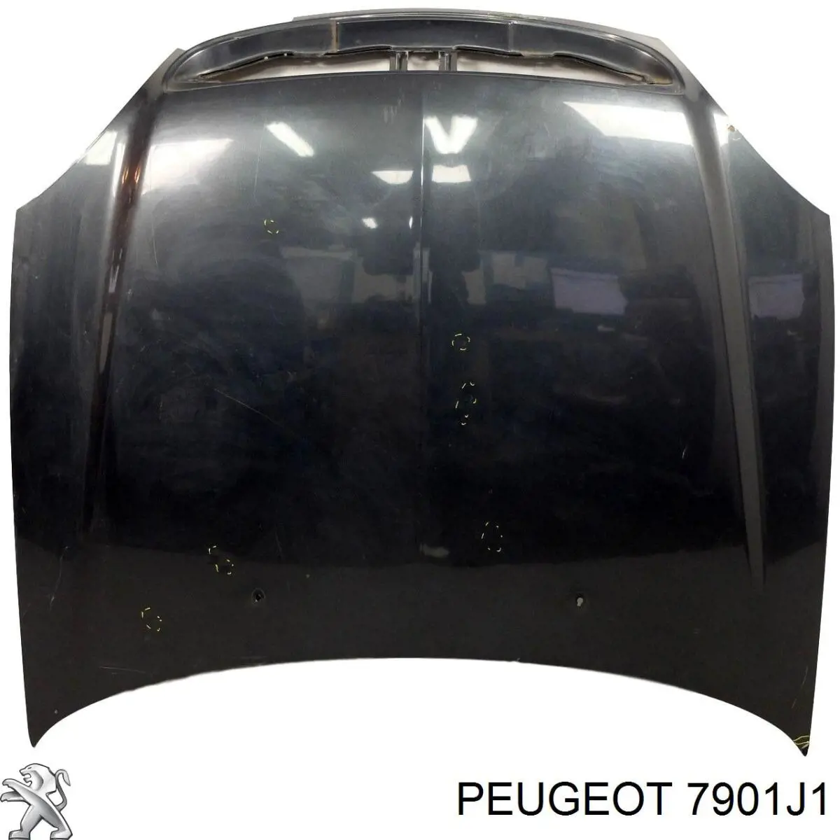 Capó del motor 7901J1 Peugeot/Citroen