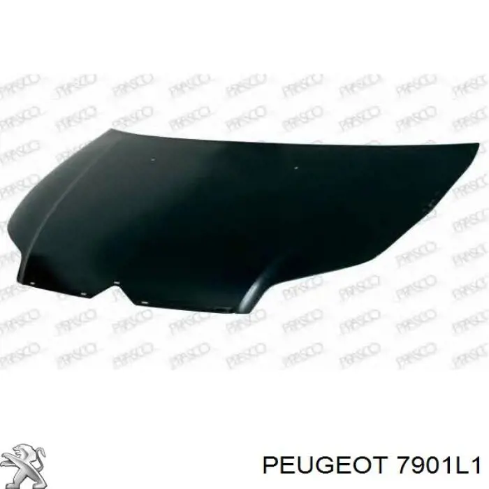Капот Peugeot/Citroen 7901L1 цена, от 123.87 USD