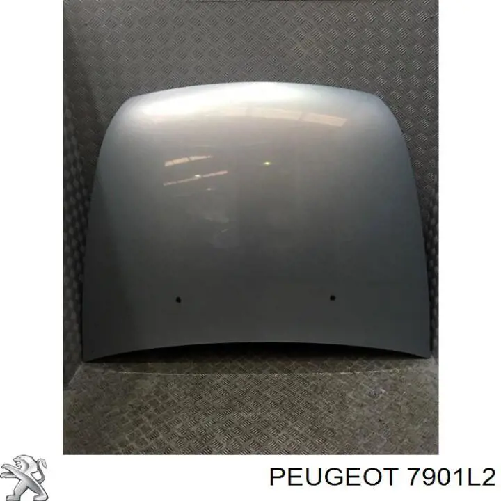 Капот на Peugeot 607 9D, 9U (Пежо 607)