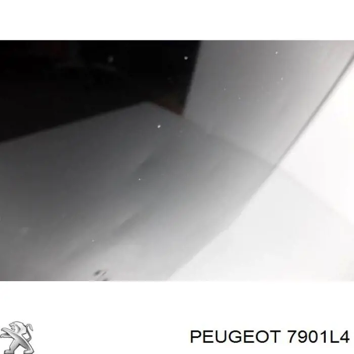 7901L4 Peugeot/Citroen капот
