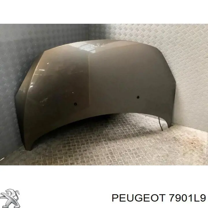 Капот 7901L9 Peugeot/Citroen