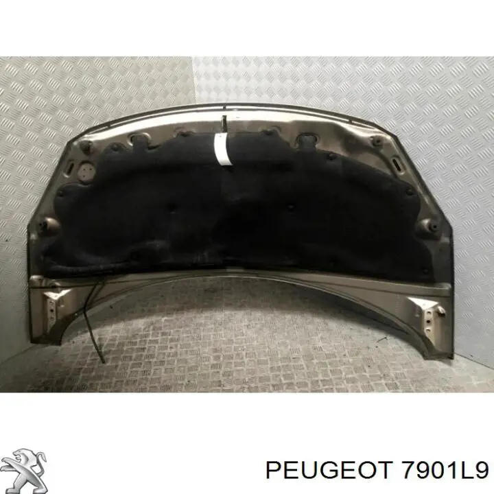 7901L9 Peugeot/Citroen Капот