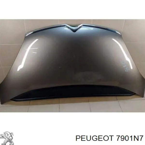 Капот Peugeot/Citroen 7901N7 цена, от 117.00 USD