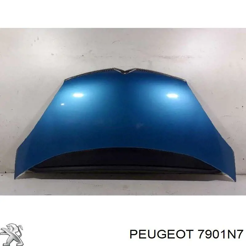 7901N7 Peugeot/Citroen капот