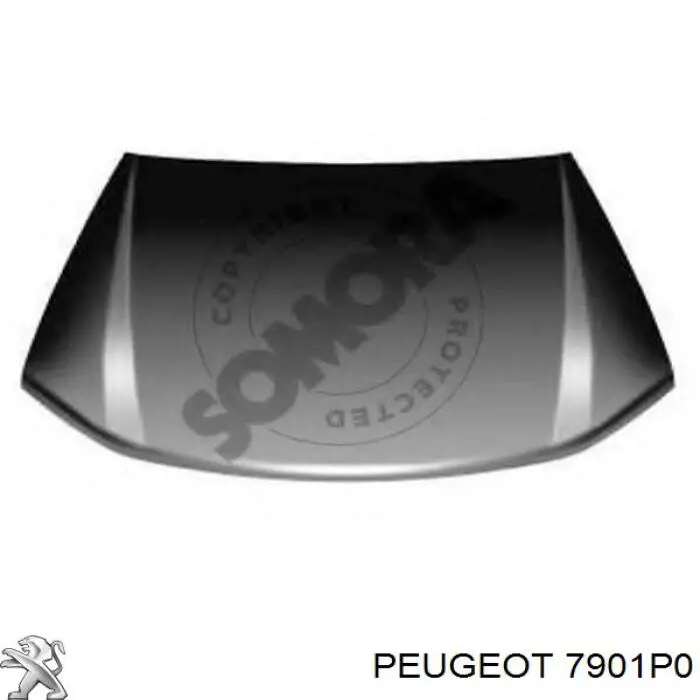 7901P0 Peugeot/Citroen capota