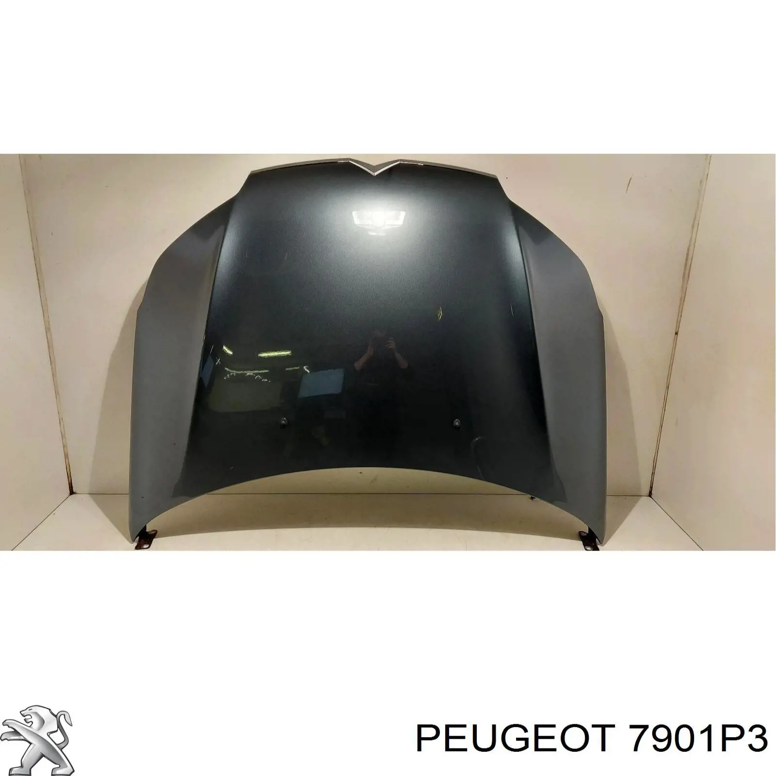 Capó del motor 7901P3 Peugeot/Citroen