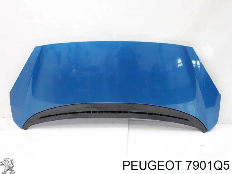 Капот на Peugeot 1007 KM (Пежо 1007)