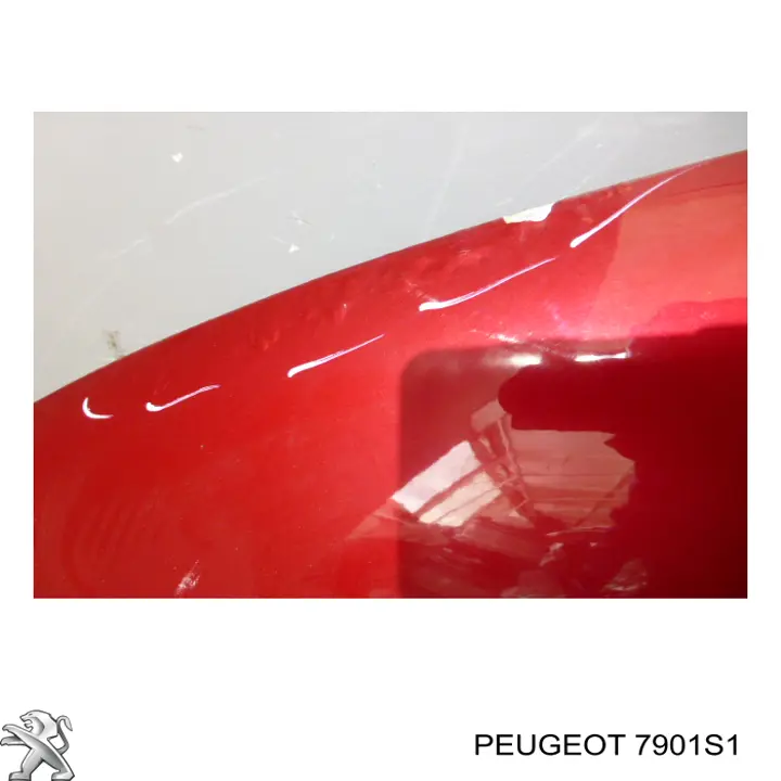 Capó del motor 7901S1 Peugeot/Citroen