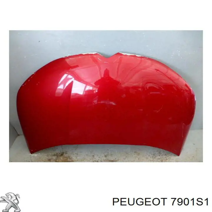 7901S1 Peugeot/Citroen капот