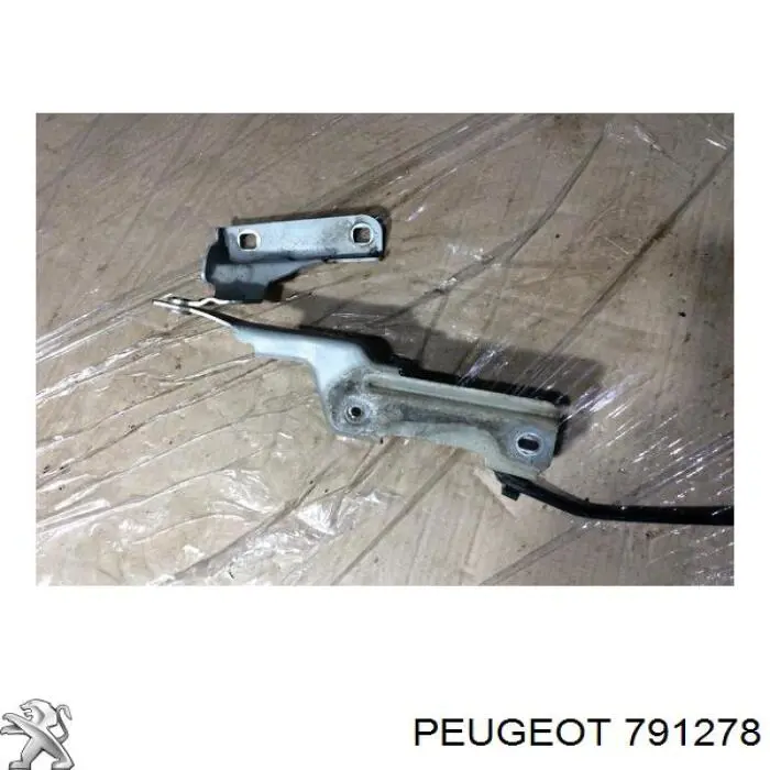 Петля капота, левая Peugeot/Citroen 791278 цена, от 45.61 USD