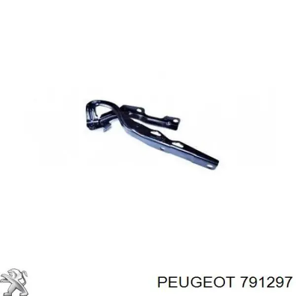 Gozno da capota esquerdo para Peugeot 207 (WK)