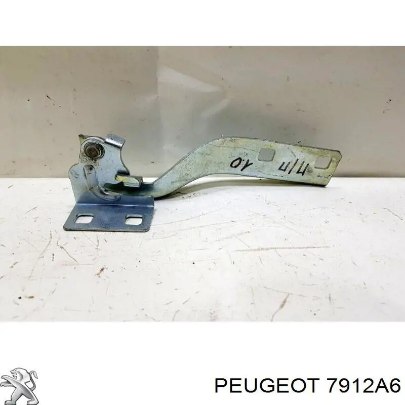 7912A6 Peugeot/Citroen gozno da capota direito