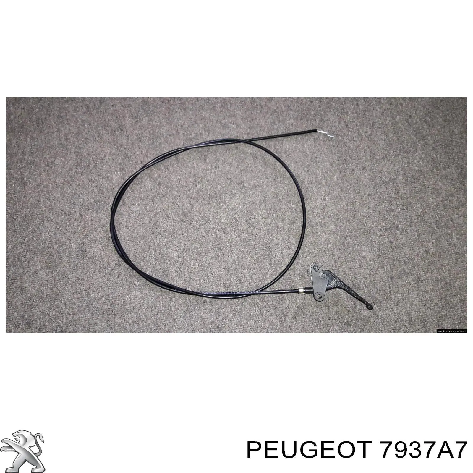7937A7 Peugeot/Citroen трос открывания капота