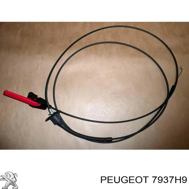 Cable de apertura de capó del motor 7937H9 Peugeot/Citroen