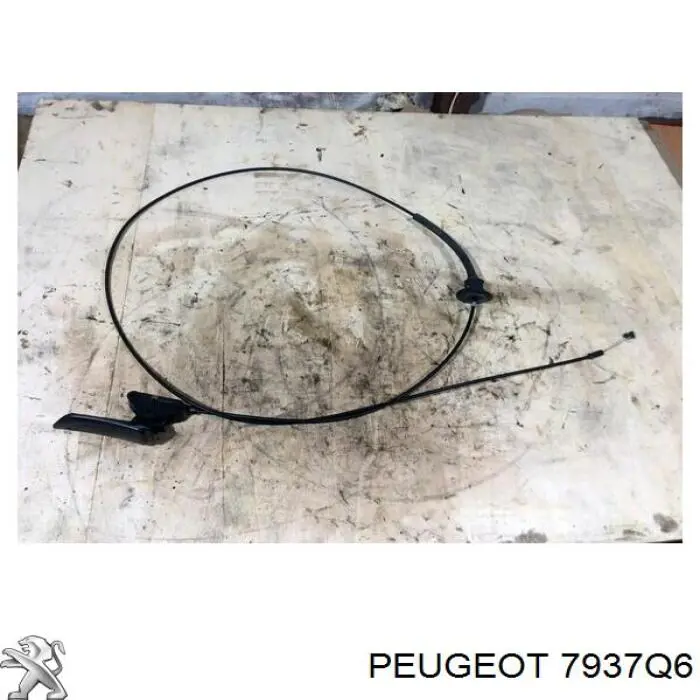Cable de apertura de capó del motor 7937Q6 Peugeot/Citroen