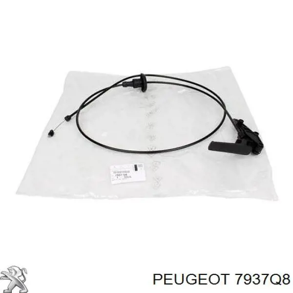 Cable de apertura de capó del motor 7937Q8 Peugeot/Citroen