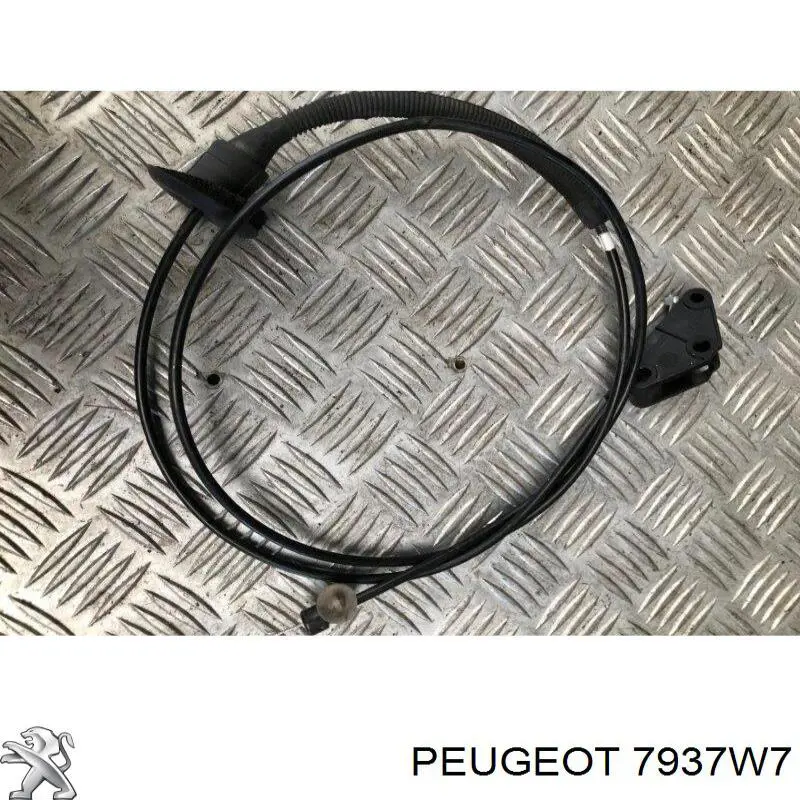 Cable de apertura de capó del motor 7937W7 Peugeot/Citroen