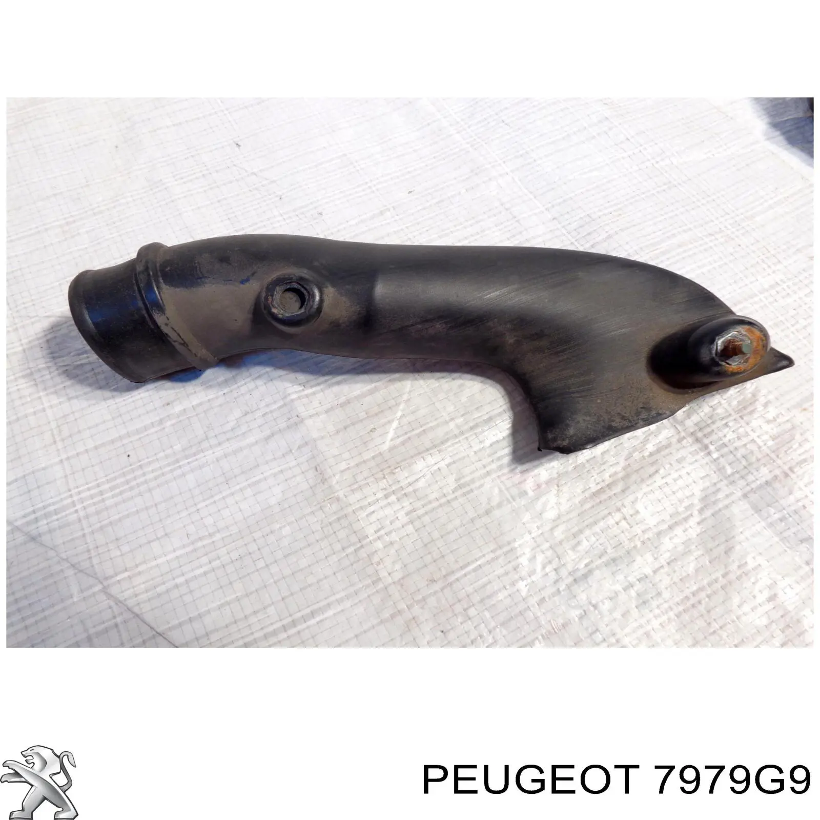 Ограждение, рамка под лобовое стекло Peugeot/Citroen 7979G9 цена, от 45.32 USD
