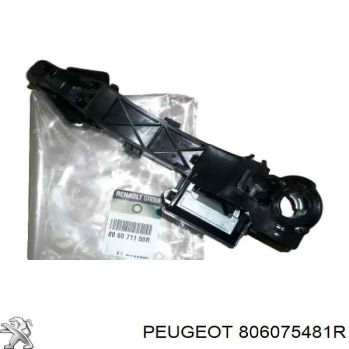 8261000Q0A Renault (RVI) Держатель наружной ручки двери передней левой