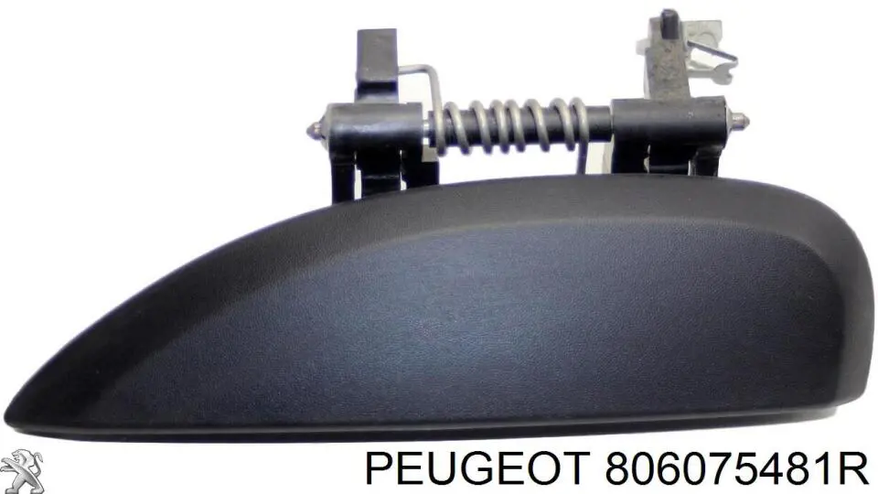 Держатель наружной ручки двери передней левой 8261000Q0A Renault (RVI)