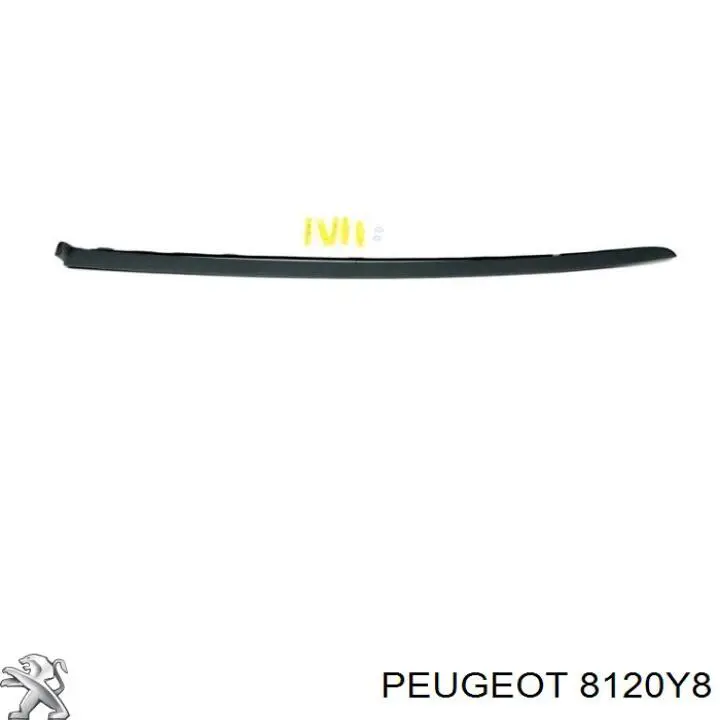 Moldura de parabrisas derecha 8120Y8 Peugeot/Citroen