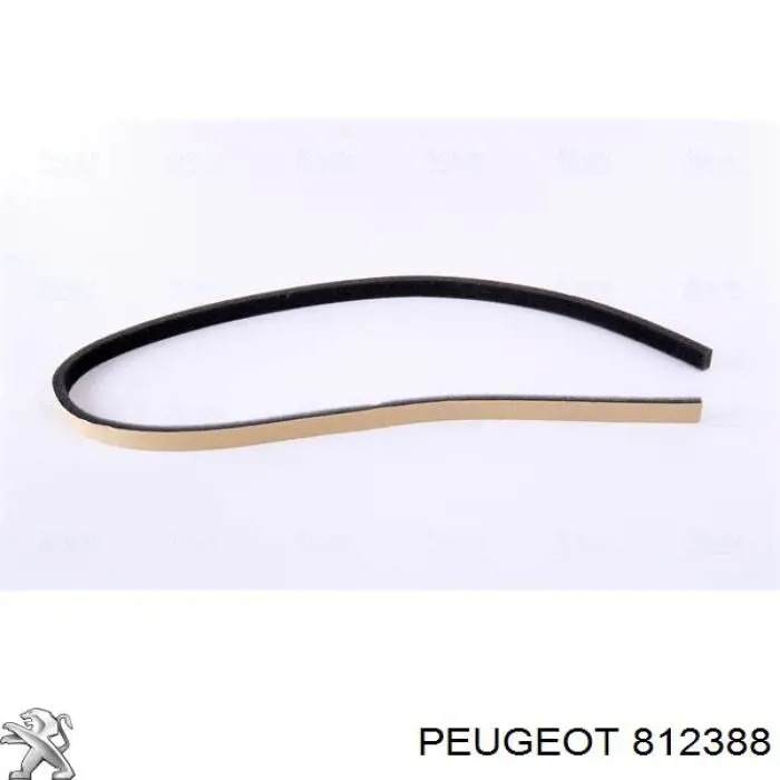 Купить 812388 Peugeot/Citroen Петли ветрового окна