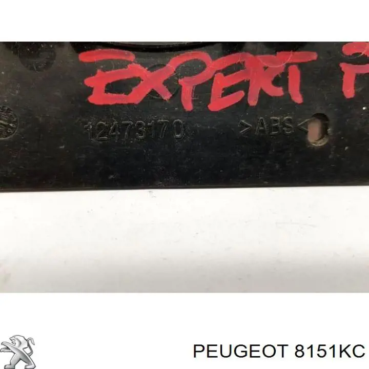 Стекло зеркала заднего вида, правого Peugeot/Citroen 8151KC цена, от 12.45 USD