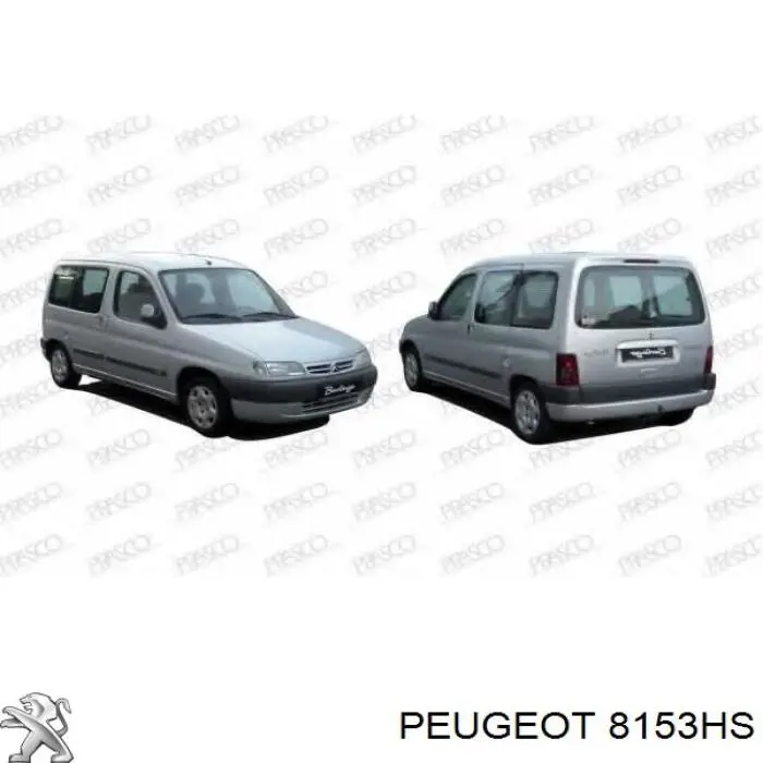 Наружное зеркало правое Peugeot/Citroen 8153HS цена, от 33.23 USD
