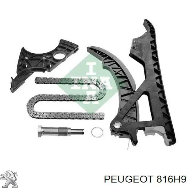 Купить 816H9 Peugeot/Citroen Набор цепи грм