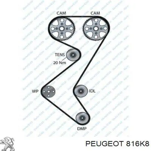 Купить 816K8 Peugeot/Citroen Ремень газораспределительного механизма