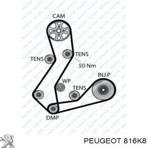 Ремень ГРМ 816K8 Peugeot/Citroen