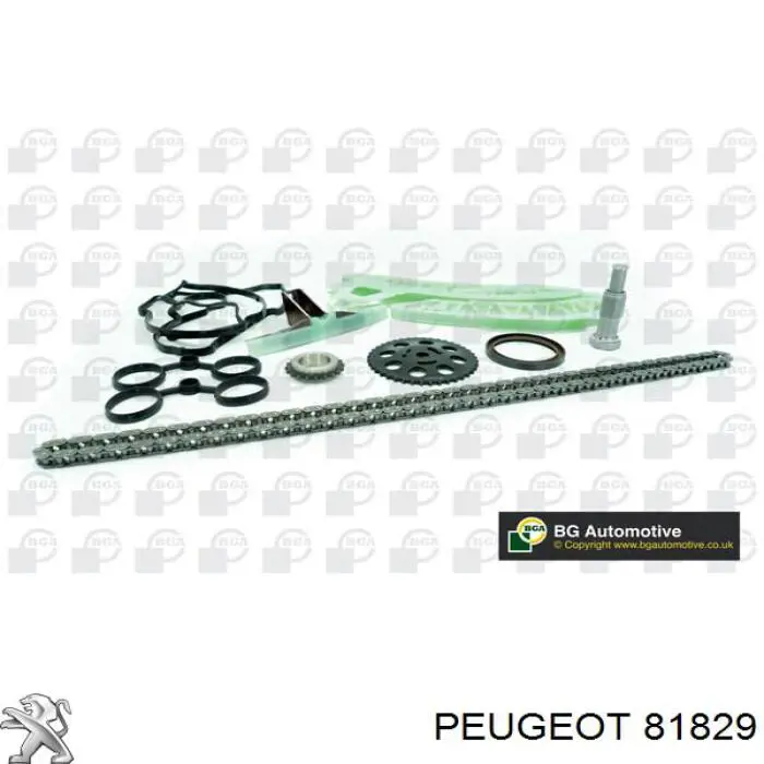 Carril de deslizamiento, cadena de distribución superior 81829 Peugeot/Citroen