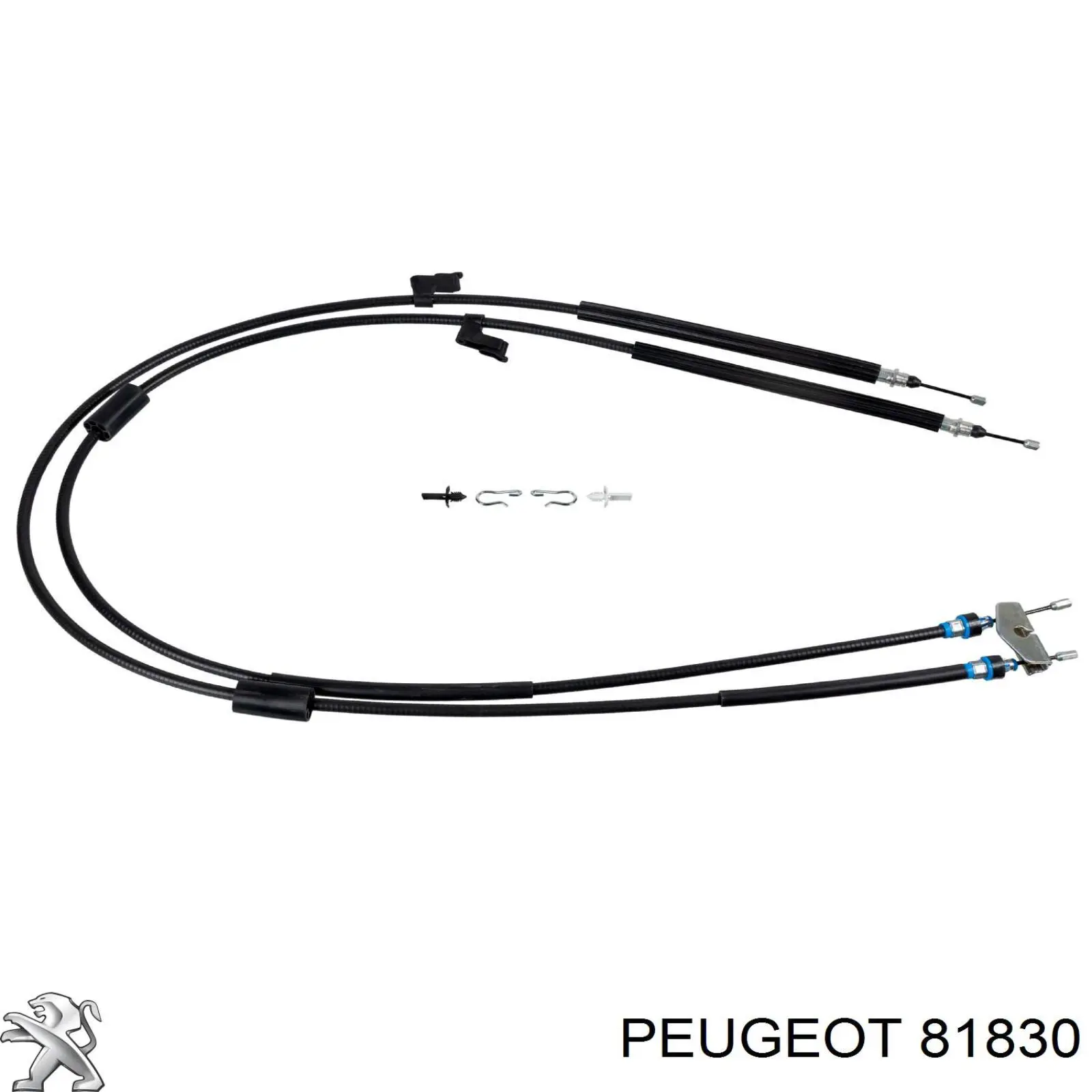 81830 Peugeot/Citroen башмак натяжителя цепи грм