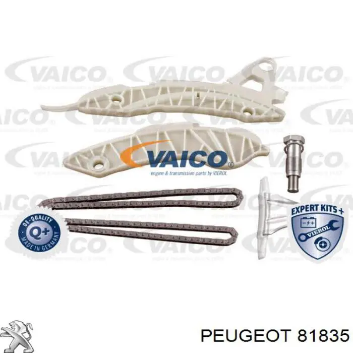 81835 Peugeot/Citroen amortecedor de cadeia do mecanismo de distribuição de gás, superior cbc
