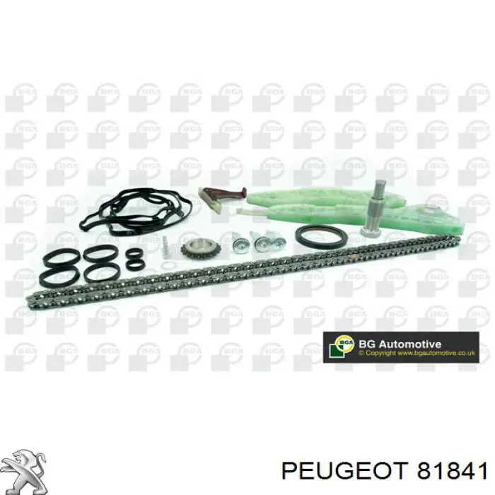 81841 Peugeot/Citroen успокоитель цепи грм, верхний гбц