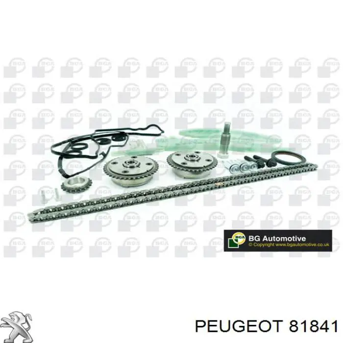 Carril de deslizamiento, cadena de distribución, culata superior 81841 Peugeot/Citroen