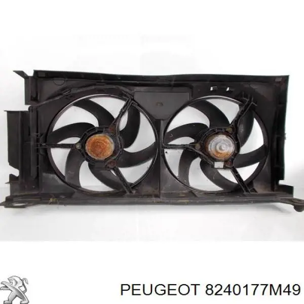 8240177M49 Peugeot/Citroen 