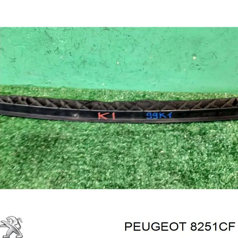 Водосток лобового стекла, жабо Peugeot/Citroen 8251CF цена, от 25.34 USD