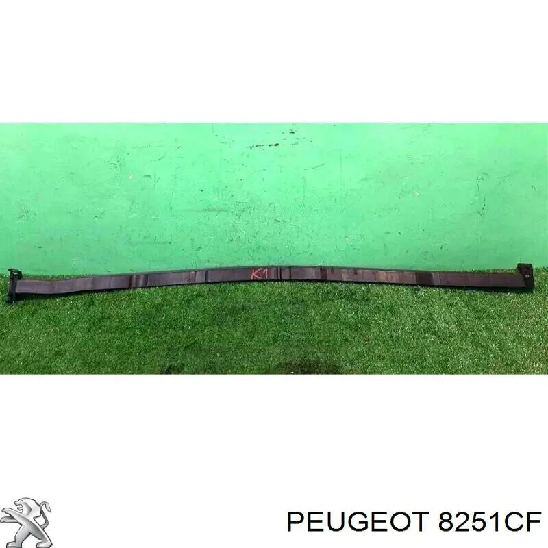 Купить 8251CF Peugeot/Citroen Водосток лобового стекла, жабо