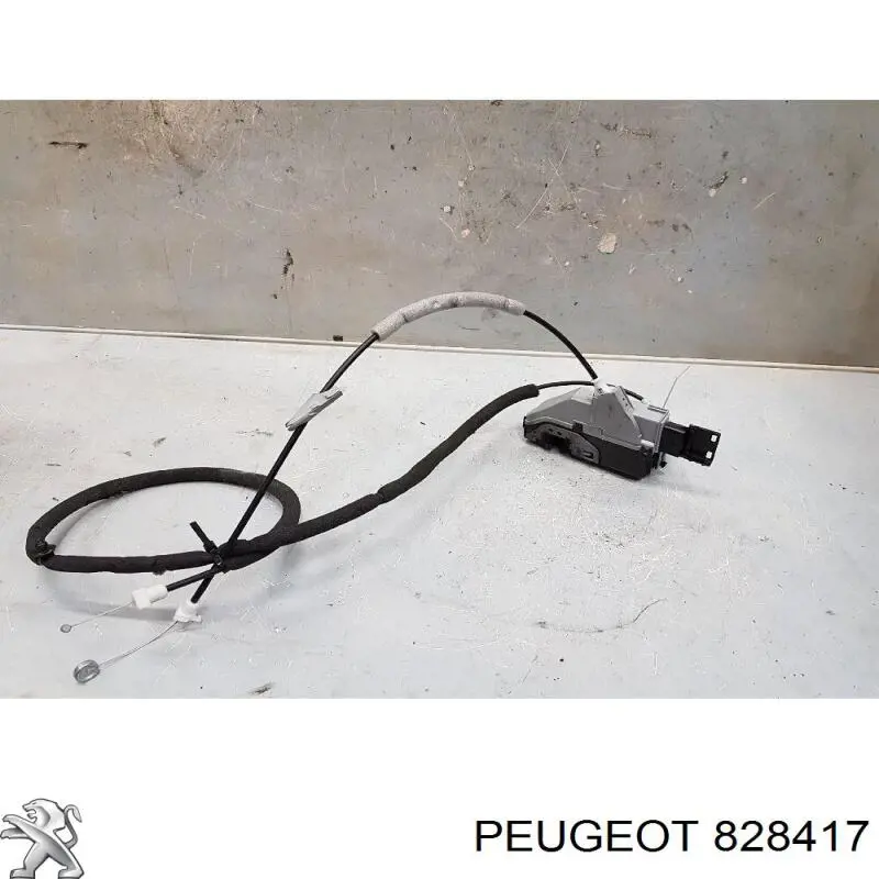 828417 Peugeot/Citroen 