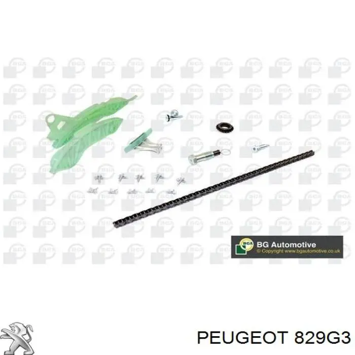 829G3 Peugeot/Citroen натяжитель цепи грм