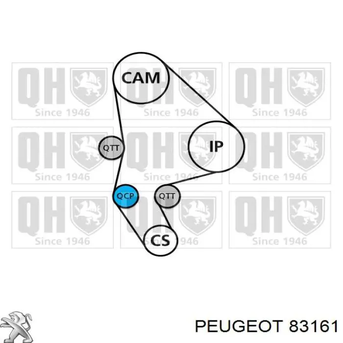 Комплект ремня ГРМ 83161 Peugeot/Citroen