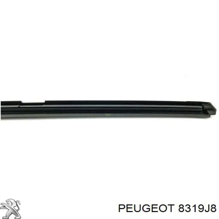  8319J8 Peugeot/Citroen